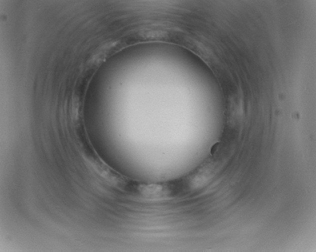 X0000060740230200511241646