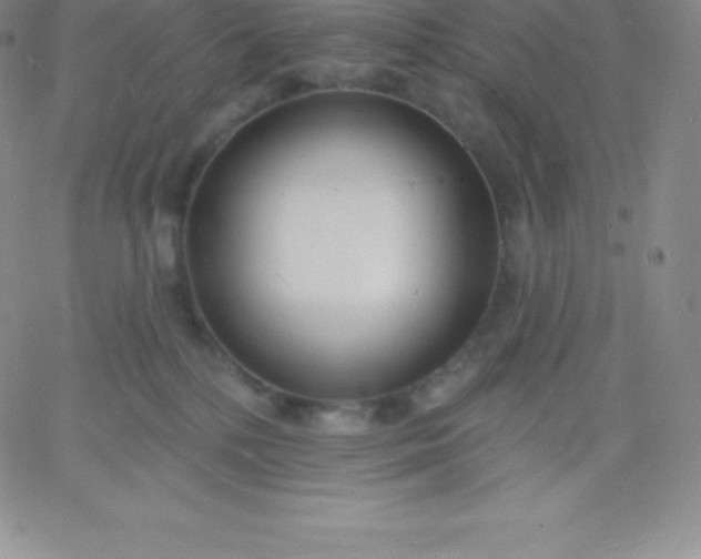 X0000060740232200511241646