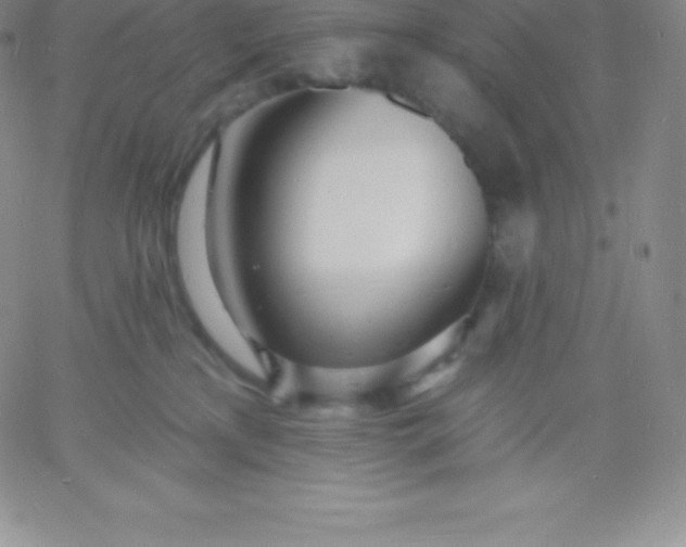 X0000060740233200511241646