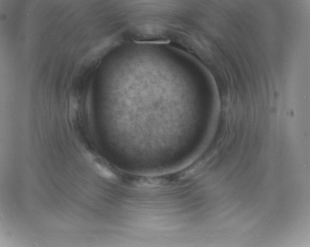 X0000060740235200511241646