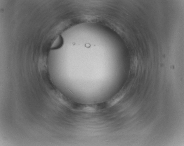 X0000060740236200511241646