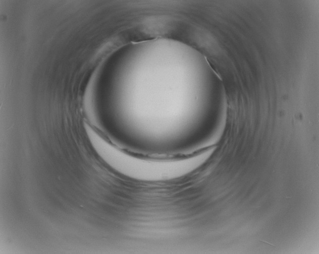 X0000060740237200511241646