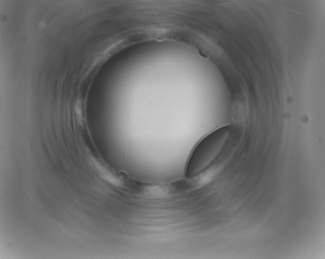 X0000060740238200511241646