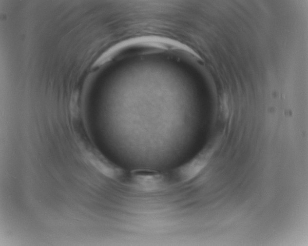 X0000060740239200511241646