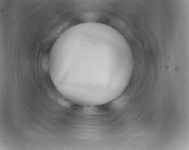 X0000060740240200511241646