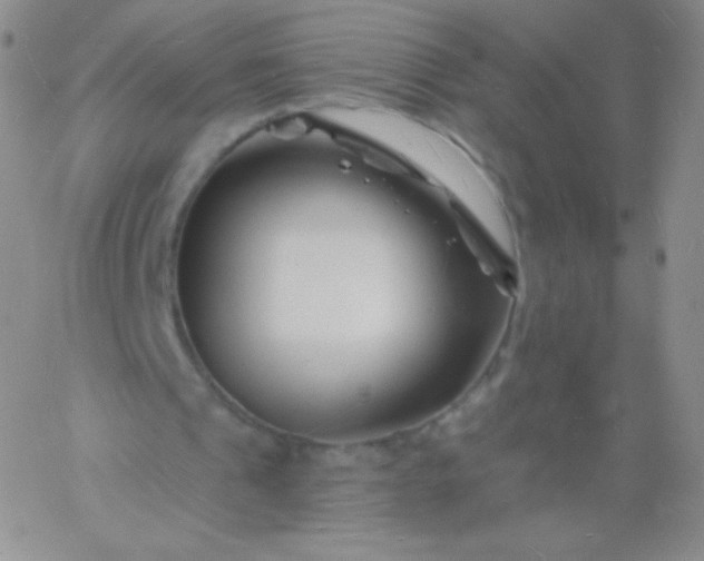 X0000060740241200511241645