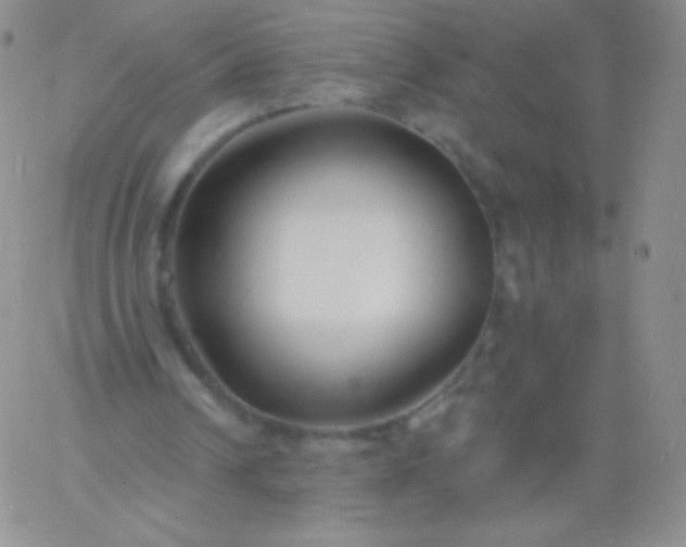 X0000060740242200511241645