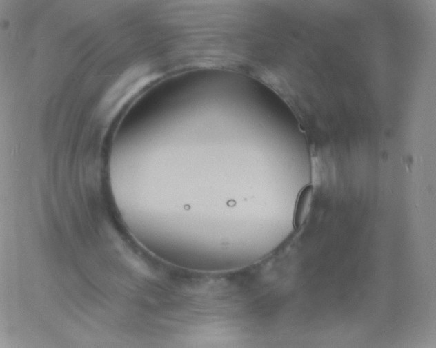 X0000060740243200511241645