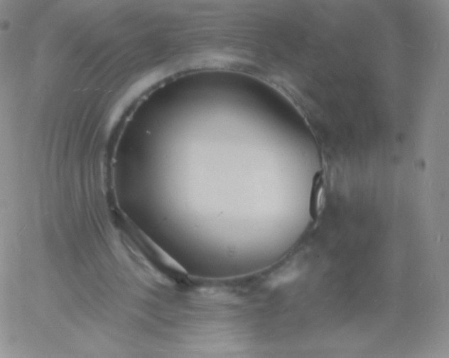 X0000060740244200511241645