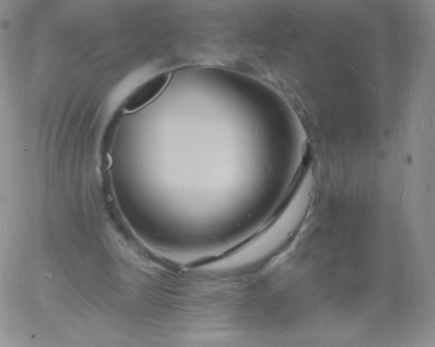 X0000060740246200511241645