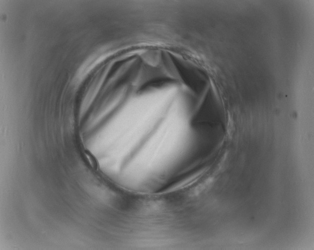 X0000060740247200511241645