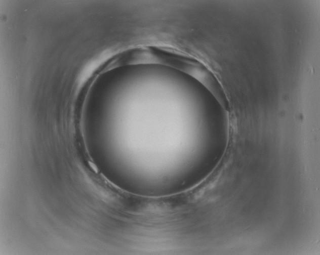 X0000060740248200511241645