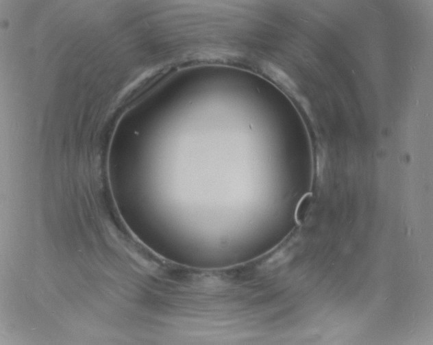 X0000060740249200511241645