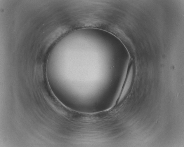 X0000060740250200511241645