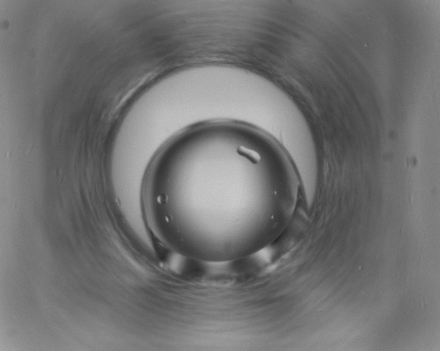 X0000060740251200511241645