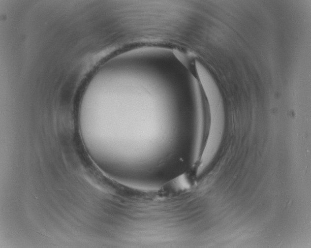 X0000060740252200511241645