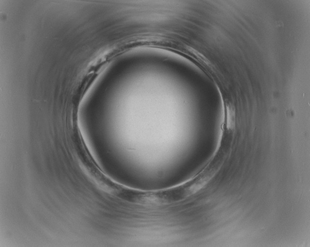 X0000060740253200511241645