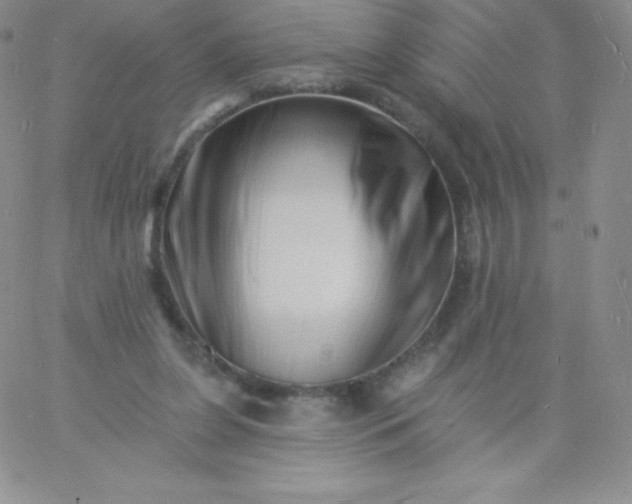 X0000060740255200511241645