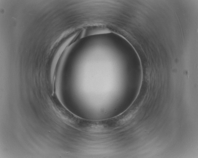 X0000060740256200511241645