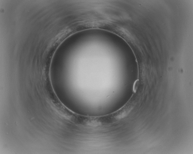 X0000060740258200511241645