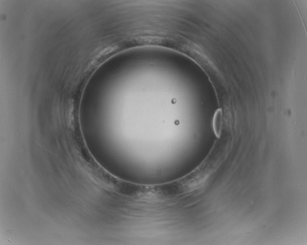 X0000060740259200511241645