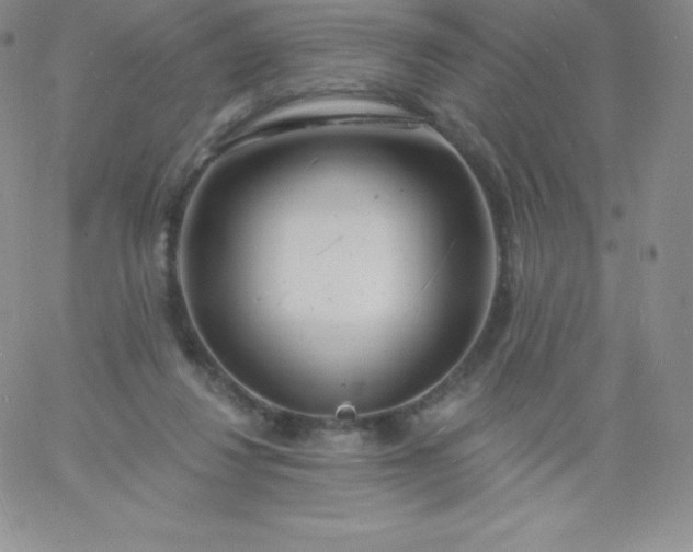 X0000060740260200511241645