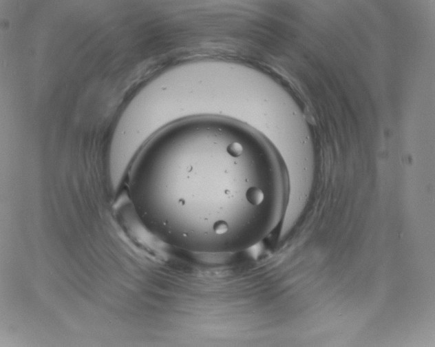 X0000060740261200511241645