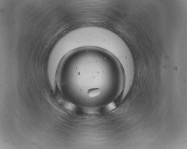 X0000060740262200511241645