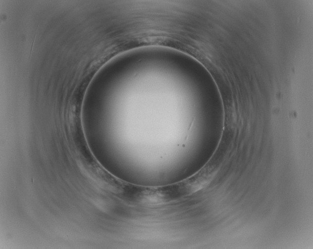 X0000060740263200511241645