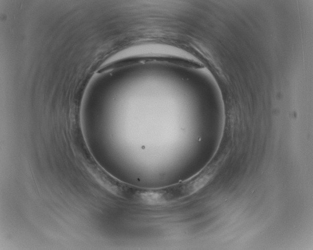 X0000060740265200511241645