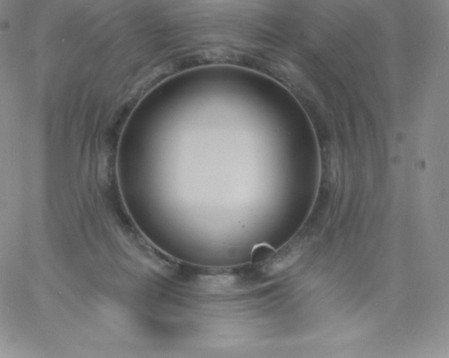 X0000060740266200511241645