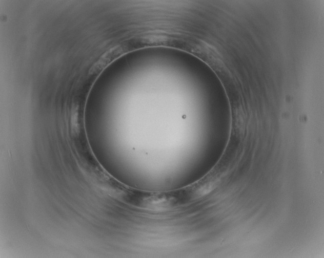 X0000060740267200511241645