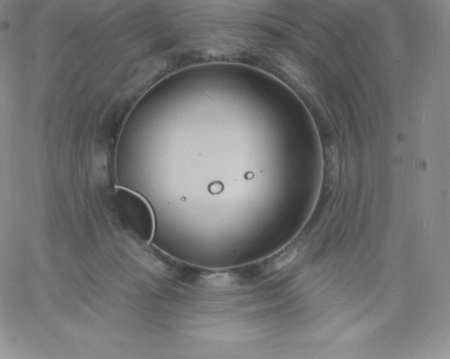 X0000060740269200511241645