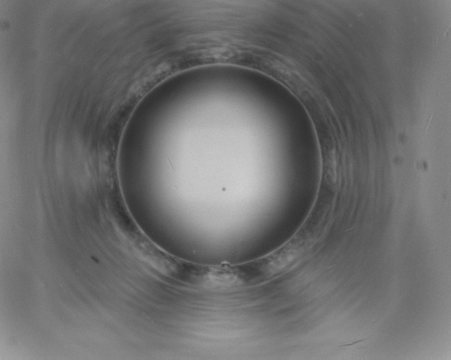 X0000060740270200511241645