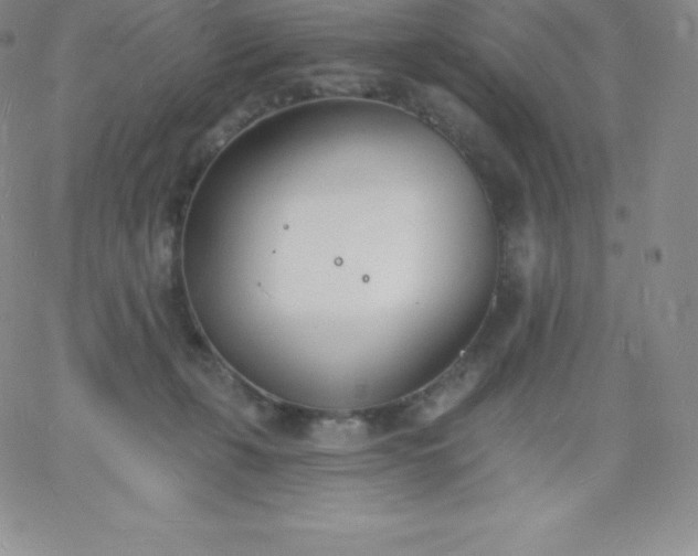 X0000060740271200511241645