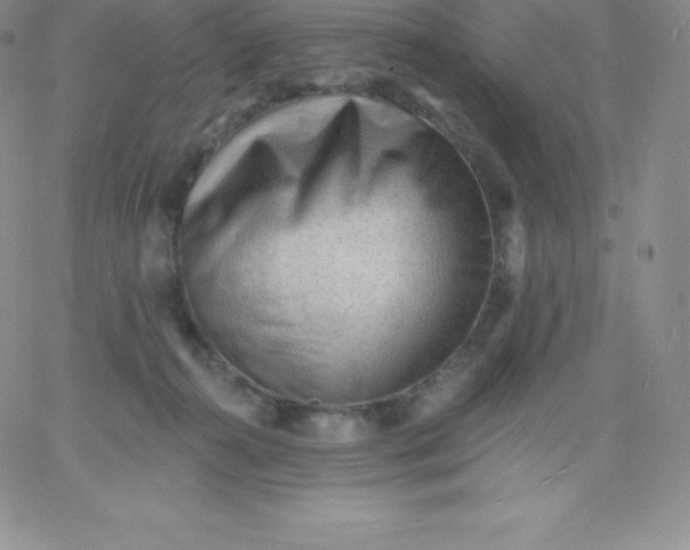 X0000060740272200511241645