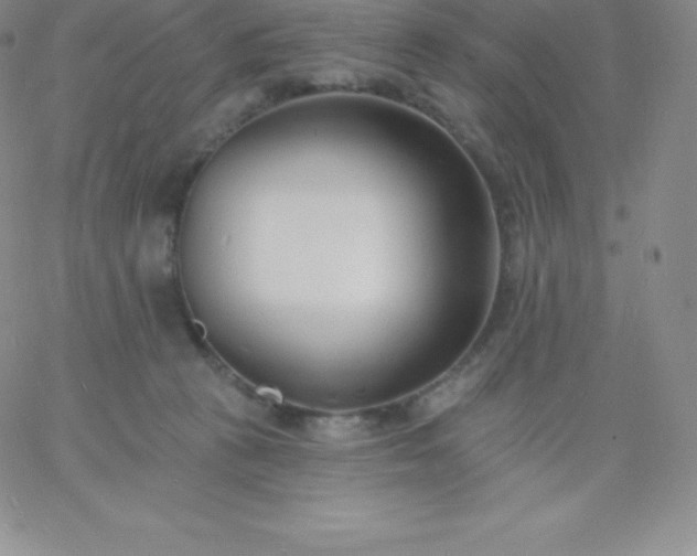 X0000060740273200511241645