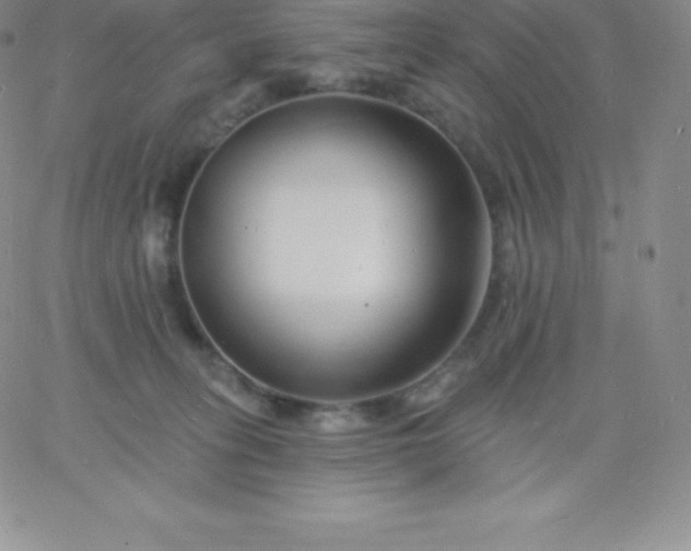 X0000060740275200511241645