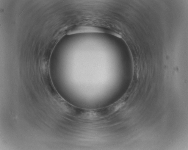 X0000060740276200511241645