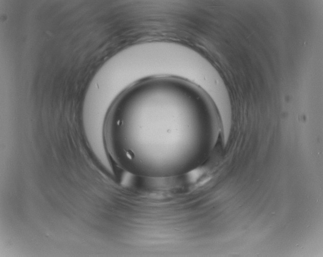 X0000060740277200511241645