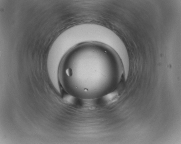 X0000060740278200511241645