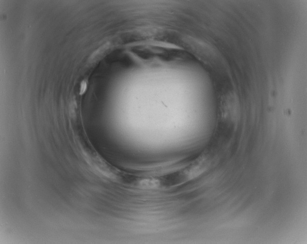 X0000060740279200511241645