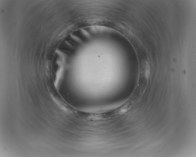 X0000060740280200511241646