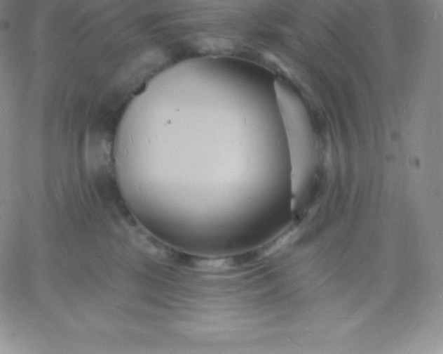 X0000060740281200511241646