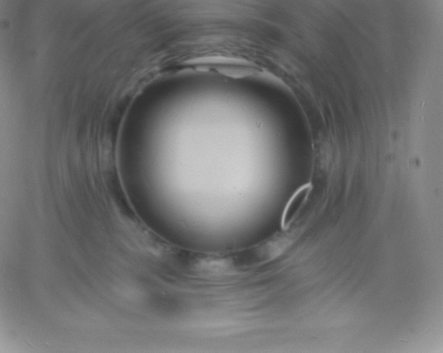 X0000060740283200511241646