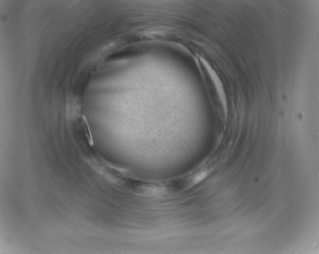 X0000060740284200511241646