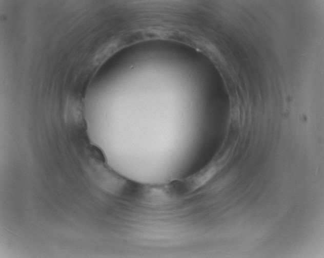 X0000060740285200511241646