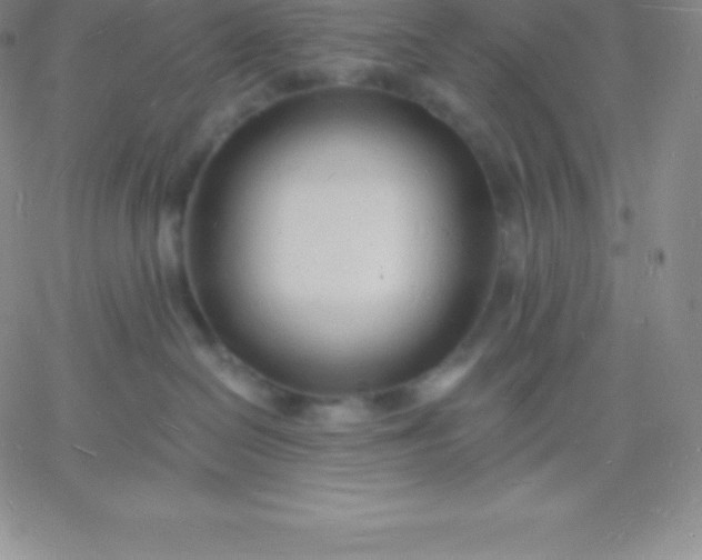 X0000060740286200511241646