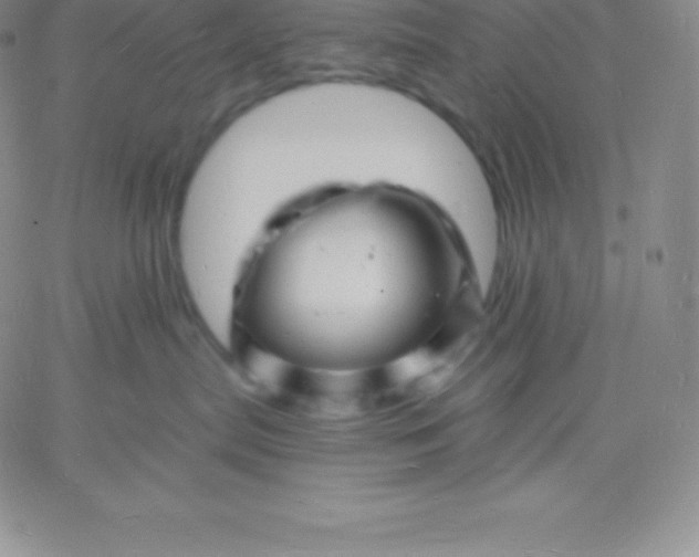 X0000060740287200511241646