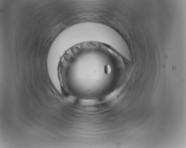 X0000060740288200511241646